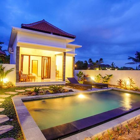 Puri Arta Villa Ubud Buitenkant foto